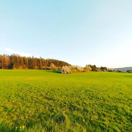 Hochwertige Wohnung Mit Parkplatz Im Schoenen Schwarzwald 알텐스테이그 외부 사진